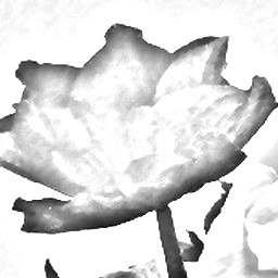 Pencil Sketch 020